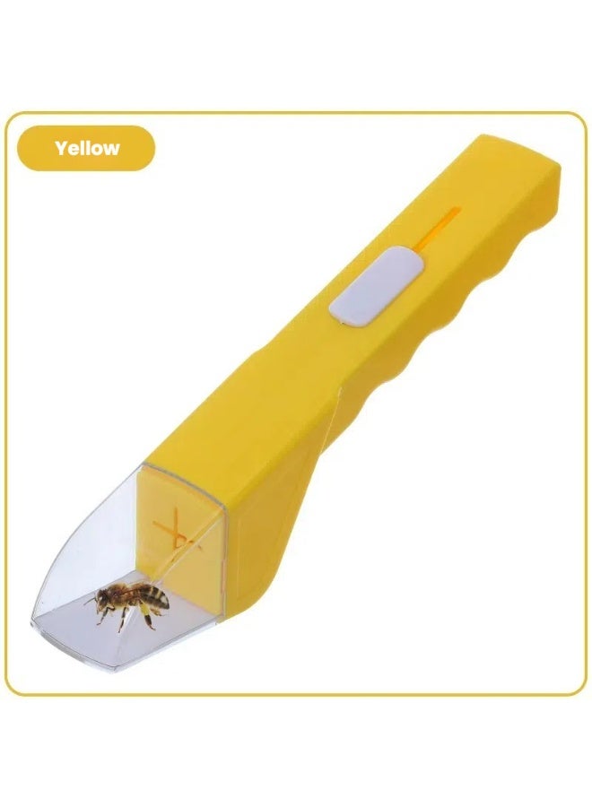 Children's Outdoor Insect Discovery and Catching Box - Image 1